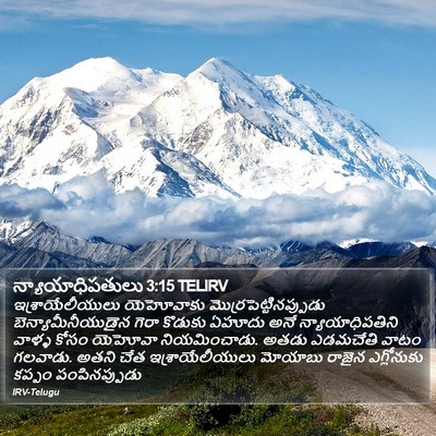 న్యాయాధిపతులు 3:15 TELIRV Bible Verse Image