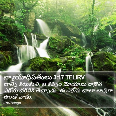 న్యాయాధిపతులు 3:17 TELIRV Bible Verse Image