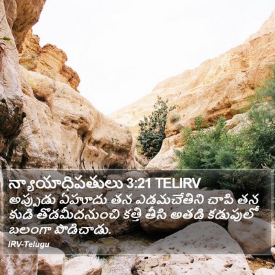 న్యాయాధిపతులు 3:21 TELIRV Bible Verse Image
