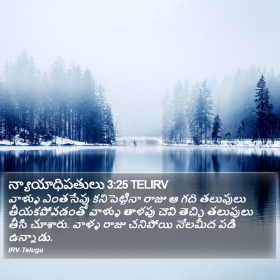 న్యాయాధిపతులు 3:25 TELIRV Bible Verse Image