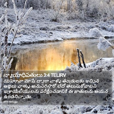 న్యాయాధిపతులు 3:4 TELIRV Bible Verse Image