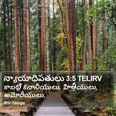 న్యాయాధిపతులు 3:5 TELIRV Bible Verse Image