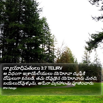 న్యాయాధిపతులు 3:7 TELIRV Bible Verse Image