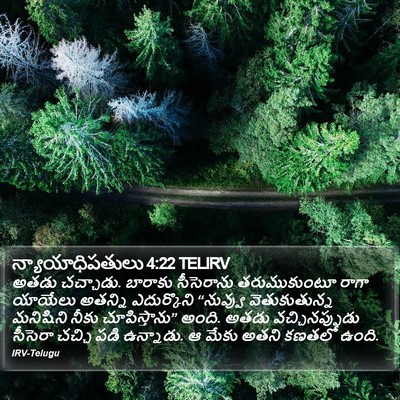 న్యాయాధిపతులు 4:22 TELIRV Bible Verse Image
