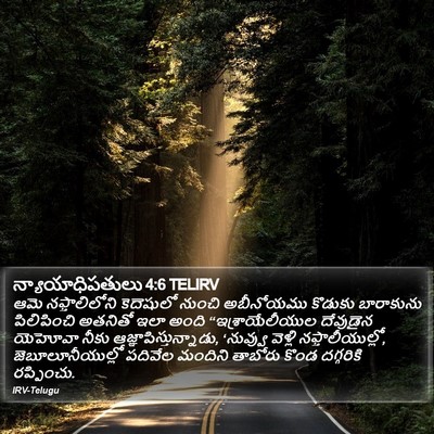 న్యాయాధిపతులు 4:6 TELIRV Bible Verse Image