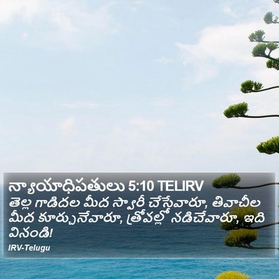 న్యాయాధిపతులు 5:10 TELIRV Bible Verse Image
