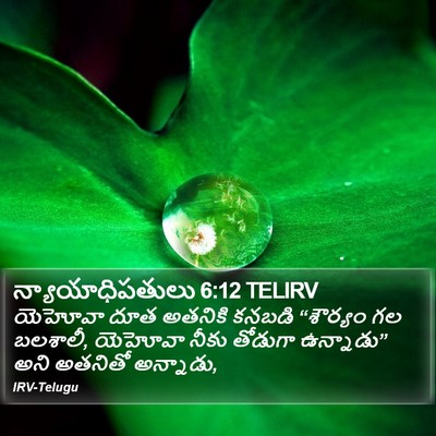 న్యాయాధిపతులు 6:12 TELIRV Bible Verse Image