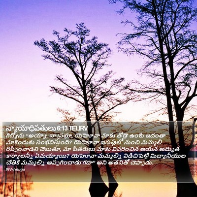 న్యాయాధిపతులు 6:13 TELIRV Bible Verse Image