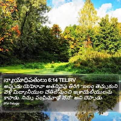 న్యాయాధిపతులు 6:14 TELIRV Bible Verse Image