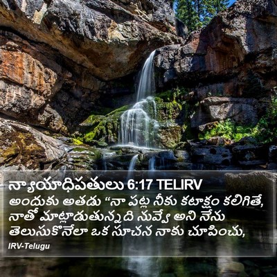 న్యాయాధిపతులు 6:17 TELIRV Bible Verse Image