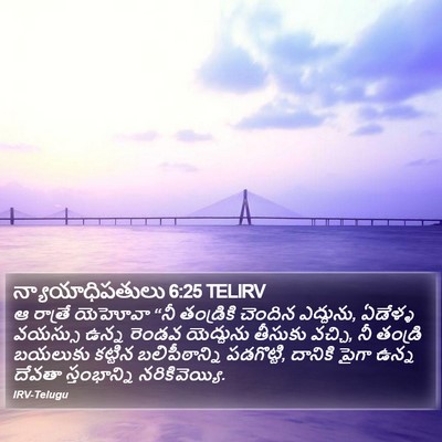 న్యాయాధిపతులు 6:25 TELIRV Bible Verse Image