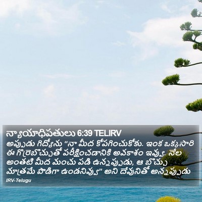 న్యాయాధిపతులు 6:39 TELIRV Bible Verse Image