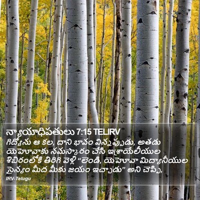 న్యాయాధిపతులు 7:15 TELIRV Bible Verse Image