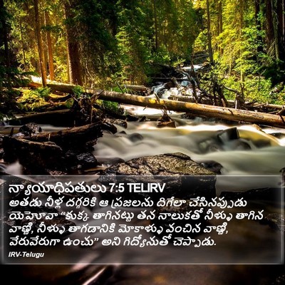 న్యాయాధిపతులు 7:5 TELIRV Bible Verse Image