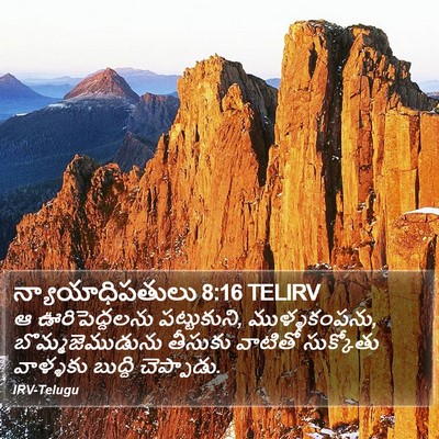 న్యాయాధిపతులు 8:16 TELIRV Bible Verse Image
