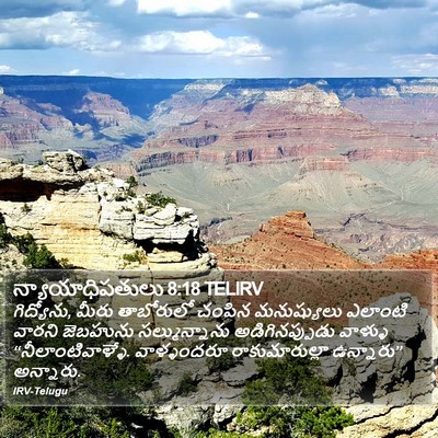 న్యాయాధిపతులు 8:18 TELIRV Bible Verse Image
