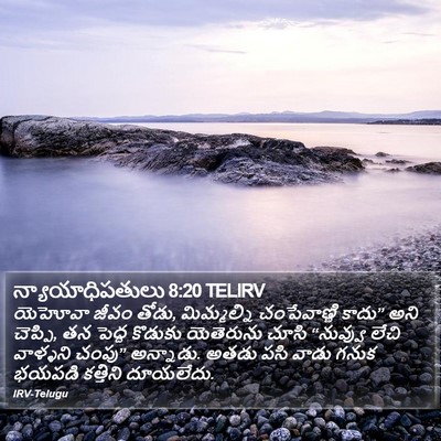 న్యాయాధిపతులు 8:20 TELIRV Bible Verse Image