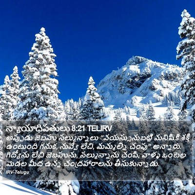 న్యాయాధిపతులు 8:21 TELIRV Bible Verse Image
