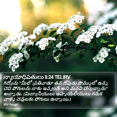న్యాయాధిపతులు 8:24 TELIRV Bible Verse Image