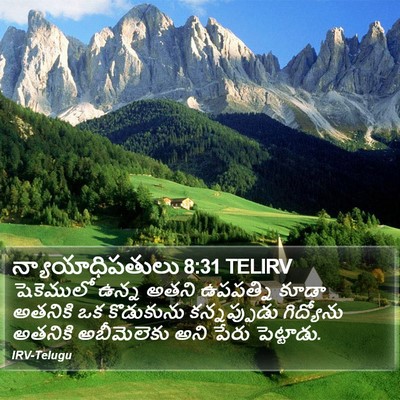 న్యాయాధిపతులు 8:31 TELIRV Bible Verse Image