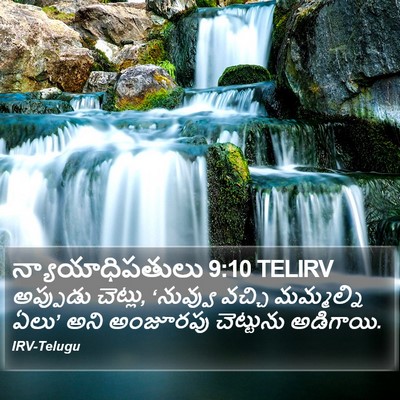 న్యాయాధిపతులు 9:10 TELIRV Bible Verse Image