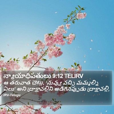 న్యాయాధిపతులు 9:12 TELIRV Bible Verse Image
