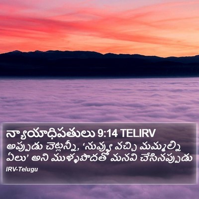 న్యాయాధిపతులు 9:14 TELIRV Bible Verse Image