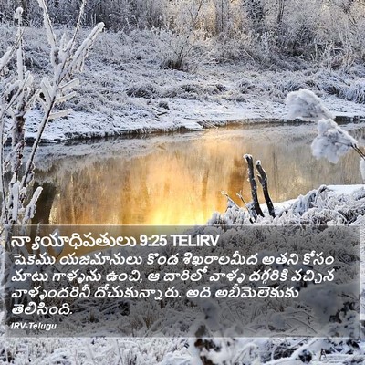 న్యాయాధిపతులు 9:25 TELIRV Bible Verse Image