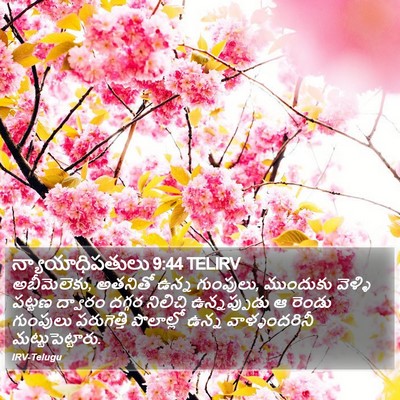 న్యాయాధిపతులు 9:44 TELIRV Bible Verse Image