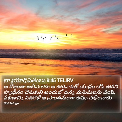 న్యాయాధిపతులు 9:45 TELIRV Bible Verse Image