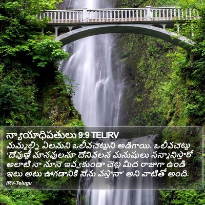 న్యాయాధిపతులు 9:9 TELIRV Bible Verse Image