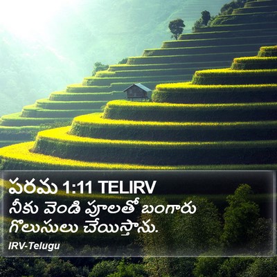పరమ 1:11 TELIRV Bible Verse Image
