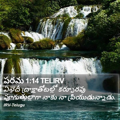పరమ 1:14 TELIRV Bible Verse Image