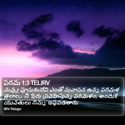 పరమ 1:3 TELIRV Bible Verse Image