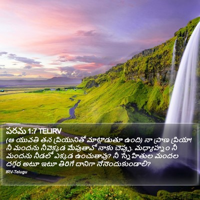 పరమ 1:7 TELIRV Bible Verse Image