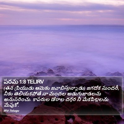 పరమ 1:8 TELIRV Bible Verse Image