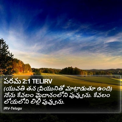 పరమ 2:1 TELIRV Bible Verse Image