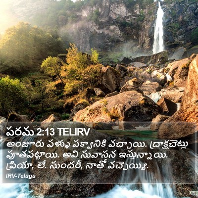 పరమ 2:13 TELIRV Bible Verse Image