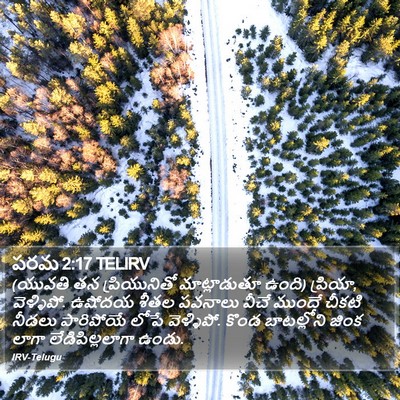 పరమ 2:17 TELIRV Bible Verse Image