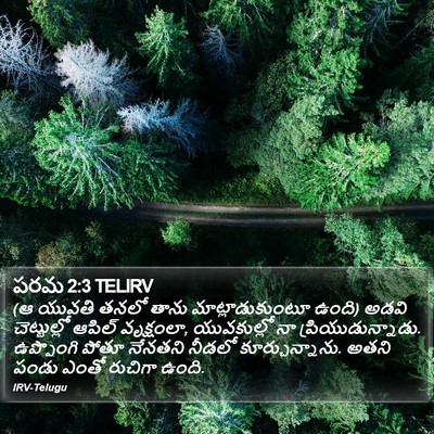 పరమ 2:3 TELIRV Bible Verse Image