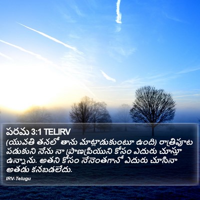 పరమ 3:1 TELIRV Bible Verse Image