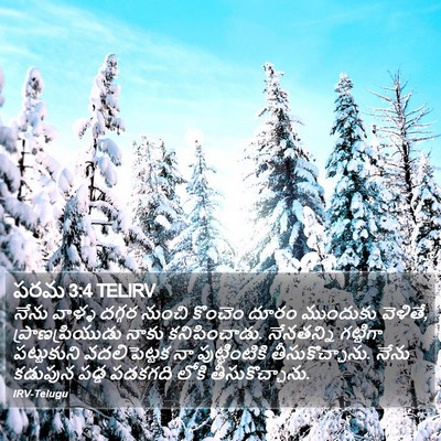 పరమ 3:4 TELIRV Bible Verse Image