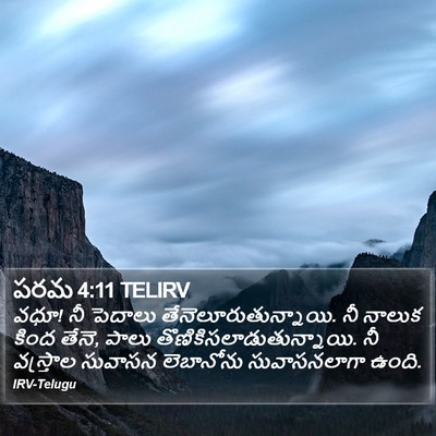 పరమ 4:11 TELIRV Bible Verse Image