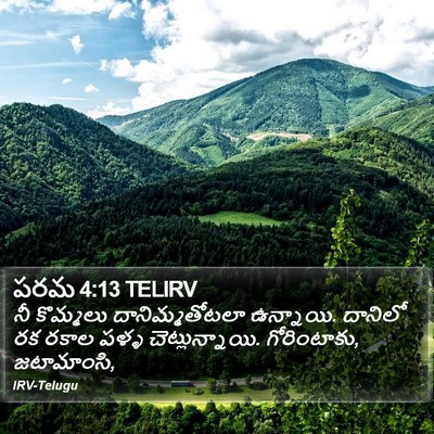 పరమ 4:13 TELIRV Bible Verse Image