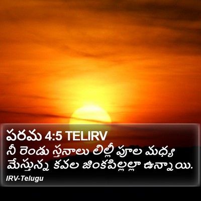 పరమ 4:5 TELIRV Bible Verse Image