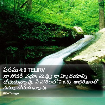 పరమ 4:9 TELIRV Bible Verse Image
