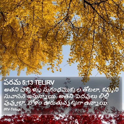 పరమ 5:13 TELIRV Bible Verse Image