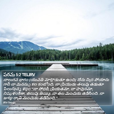 పరమ 5:2 TELIRV Bible Verse Image