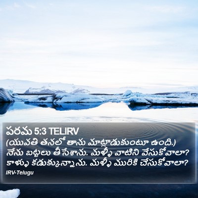 పరమ 5:3 TELIRV Bible Verse Image