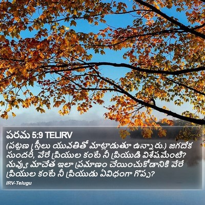 పరమ 5:9 TELIRV Bible Verse Image